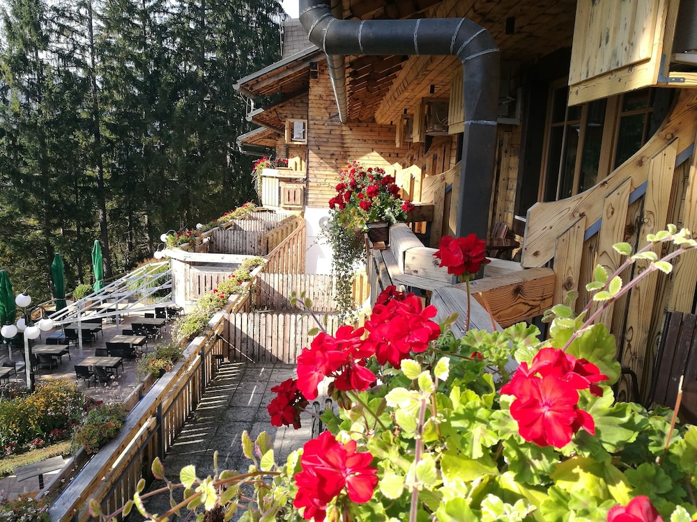 Ribno Alpine Resort 44/50