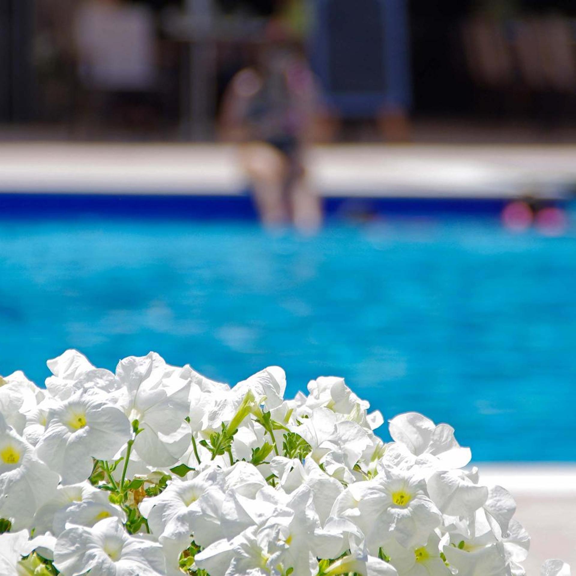 Sun Beach Platamon Resort 67/71