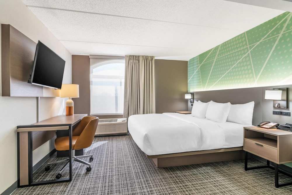 UPGRADE, EFFICIENCY, SUITE, KING BED