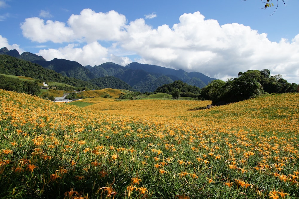 Hotel Les Champs Hualien 56/63