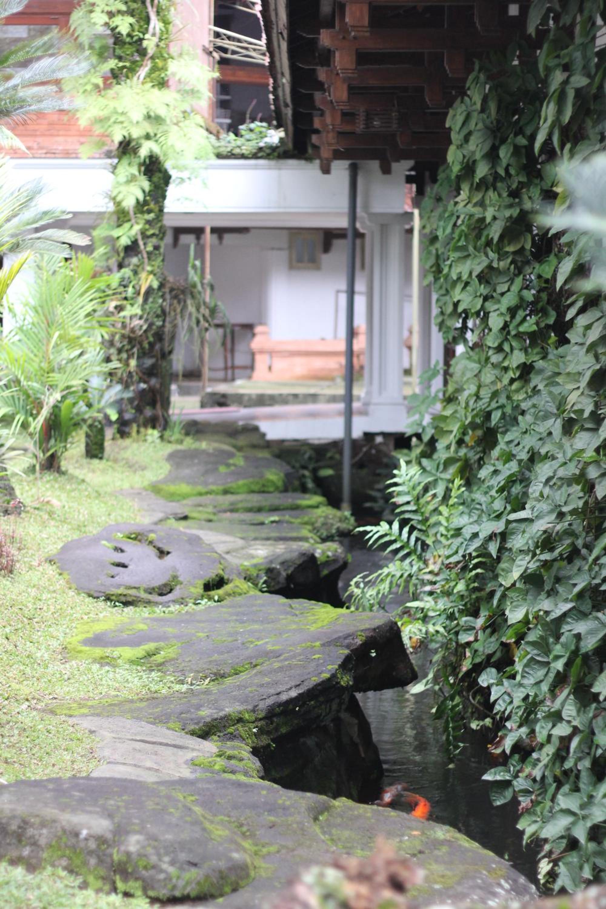 Jawa Dwipa Heritage And Convention 50/50