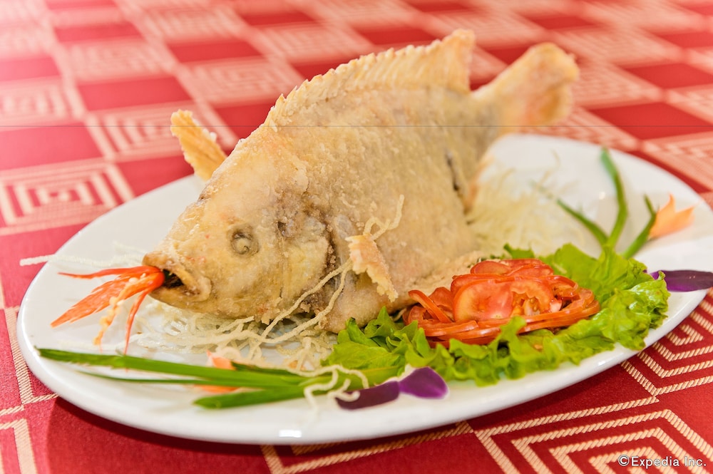 Muong Thanh Dien Chau Hotel 19/50