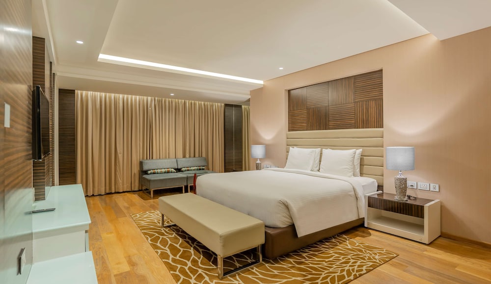RADISSON UDAIPUR 22/69