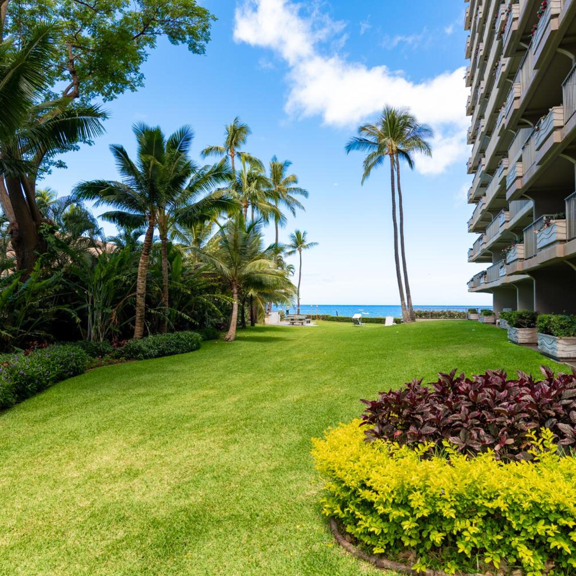 The Whaler Resort 33/50