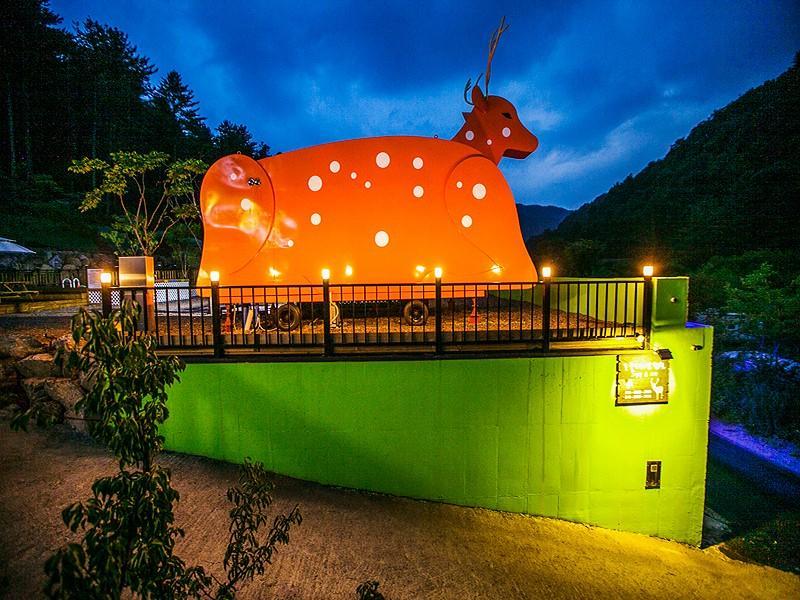 Gapyeong Animal Caravan Pension 3/37