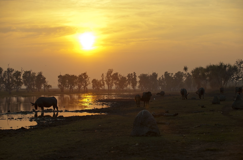 Bamurru Plains 34/44