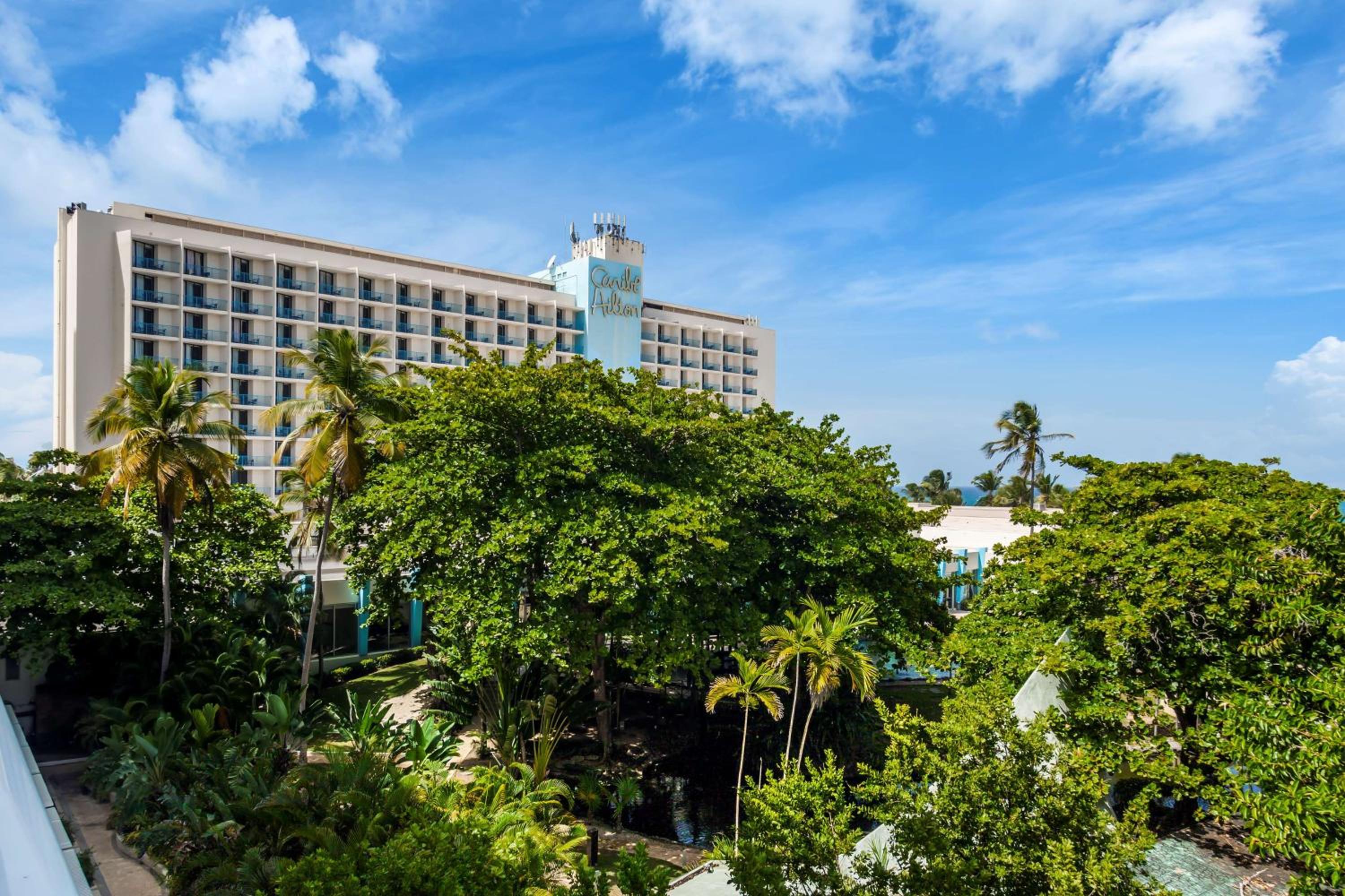 Caribe, King Bed, Garden View