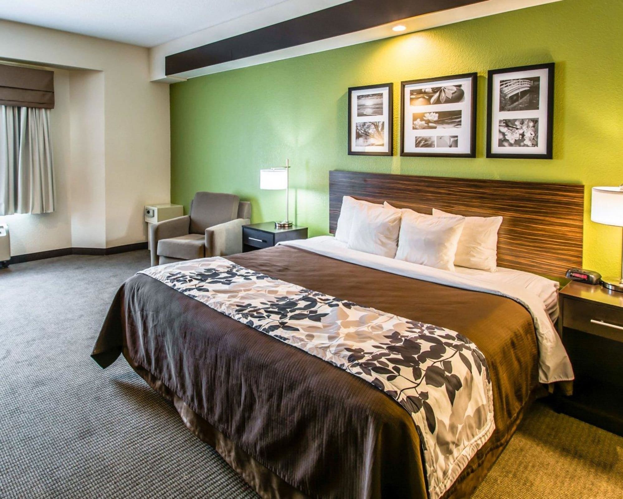 SUITE, KING BED, SOFA, ACCESSIBLE
