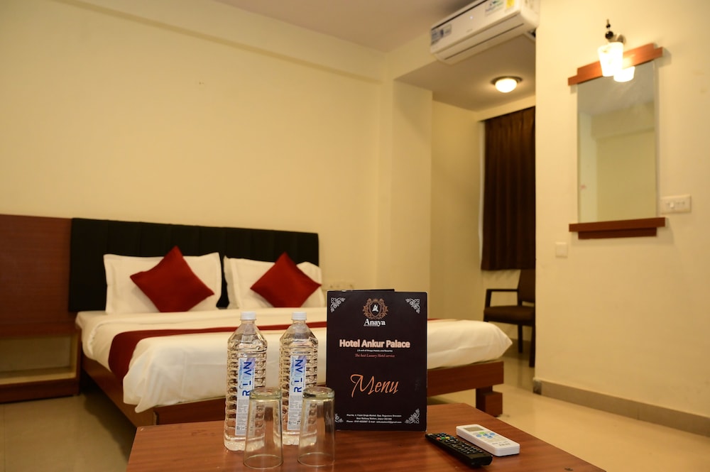 Hotel Ankur Palace 19/29