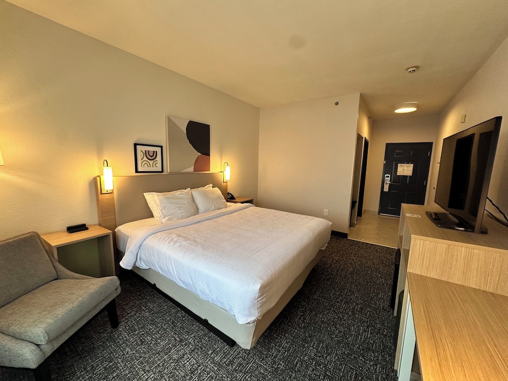 Spark by Hilton Guilford 23/64