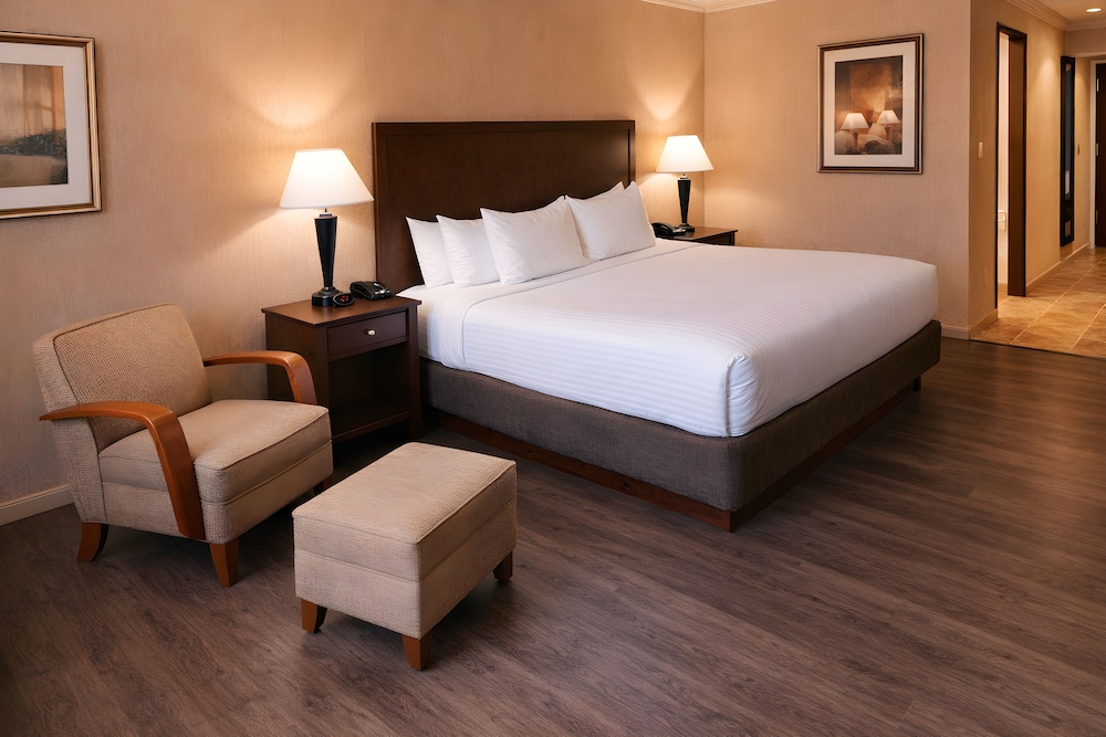 غرفة قياسية بسرير كينج، Best Western Davison Inn 6/10