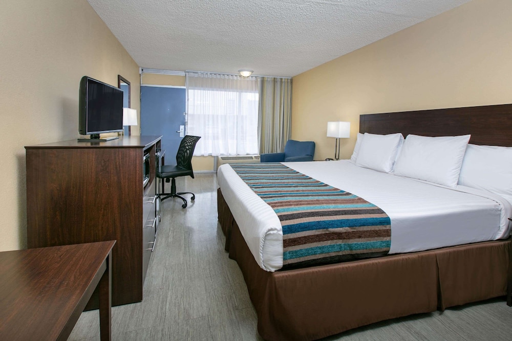 Room, Queen Bed