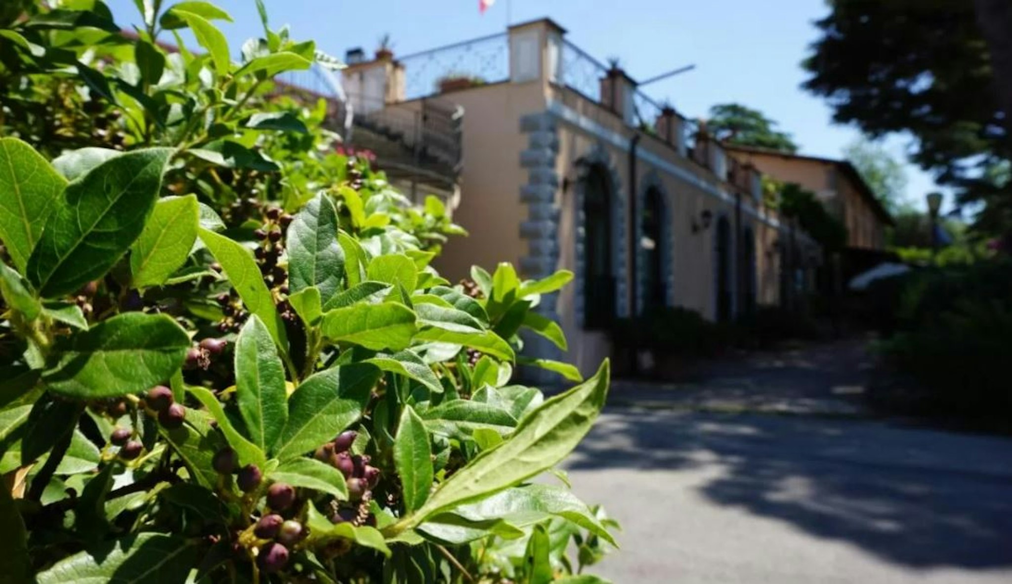 Hotel Ristorante Villa Icidia 41/41