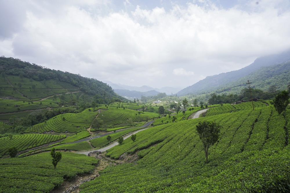 Tea Valley Resort 58/66