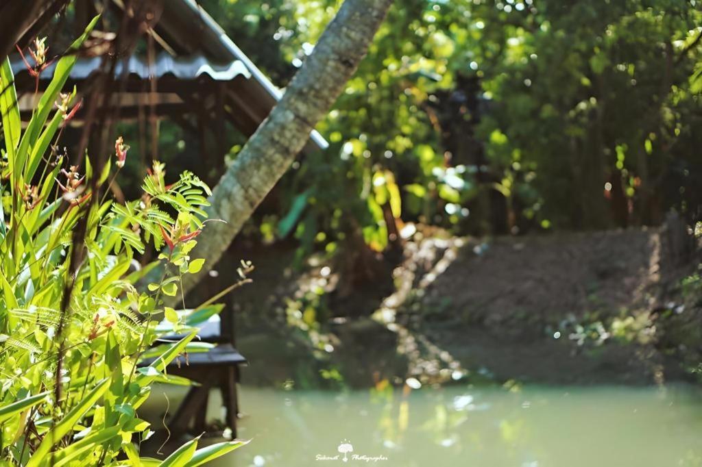Banmaihom Amphawa 24/37