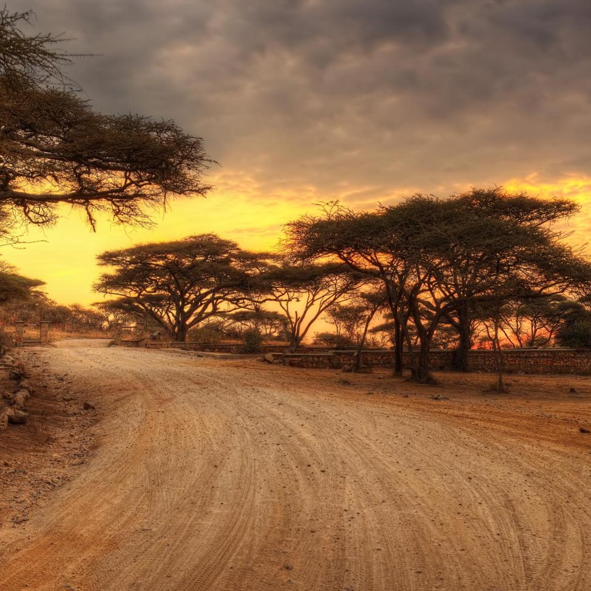 Africa Safari Maasai Boma 56/58