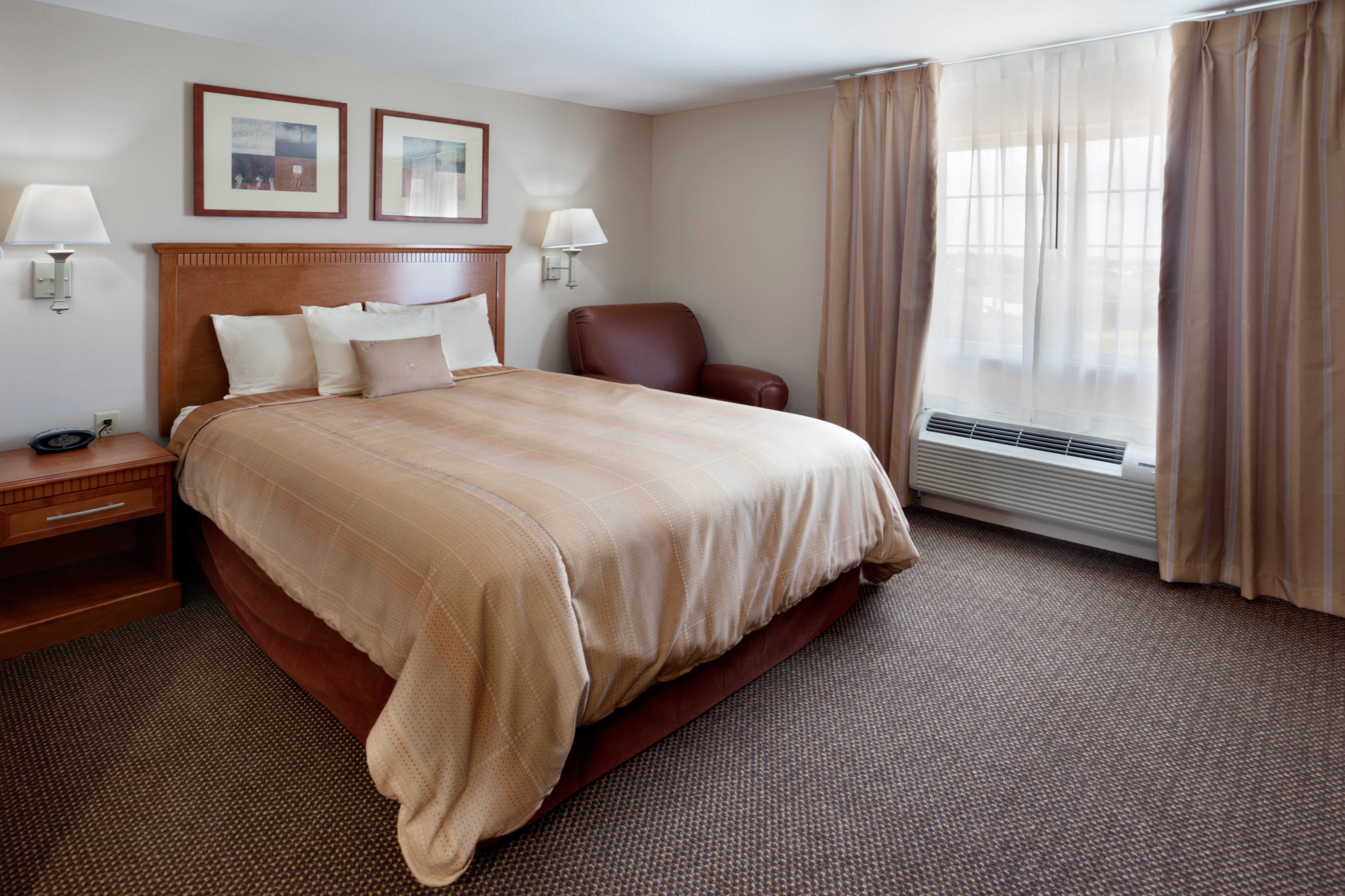 Studio, Suite, Queen Bed