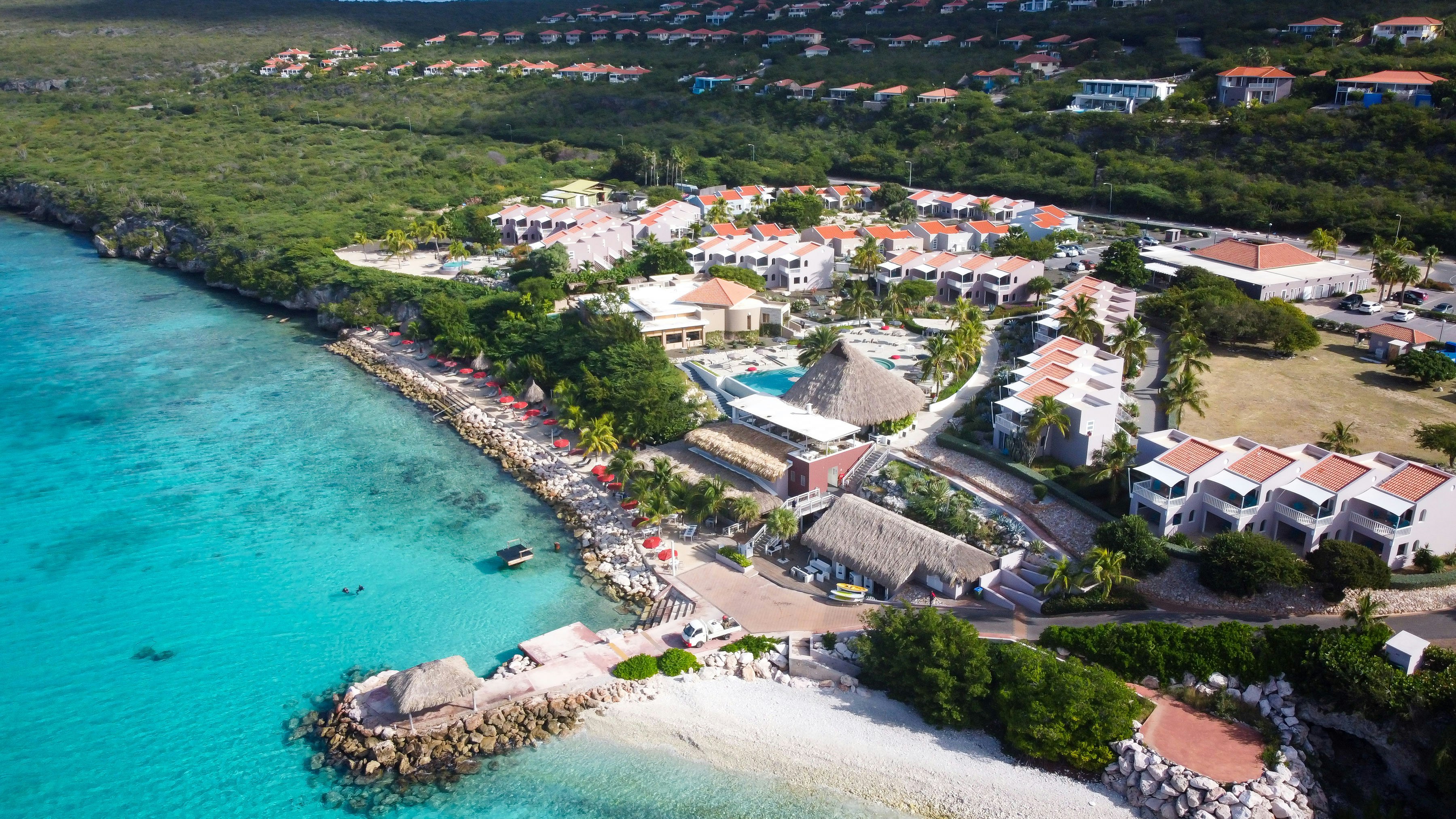 Coral Estate Luxury Resort 42/50