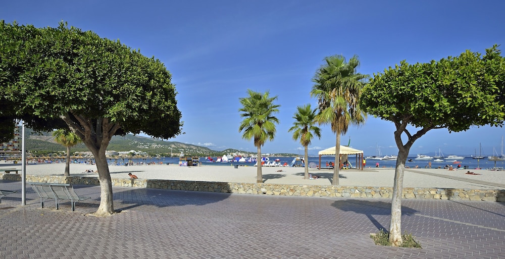 Sol Lunamar Palmanova Apartamentos - Adults Only 8/57