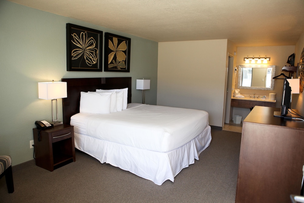 Unique Suites Hotel 11/50