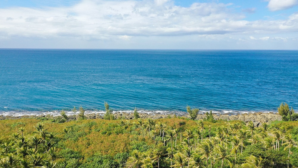 Bay Forest Boutique Hotel 57/72