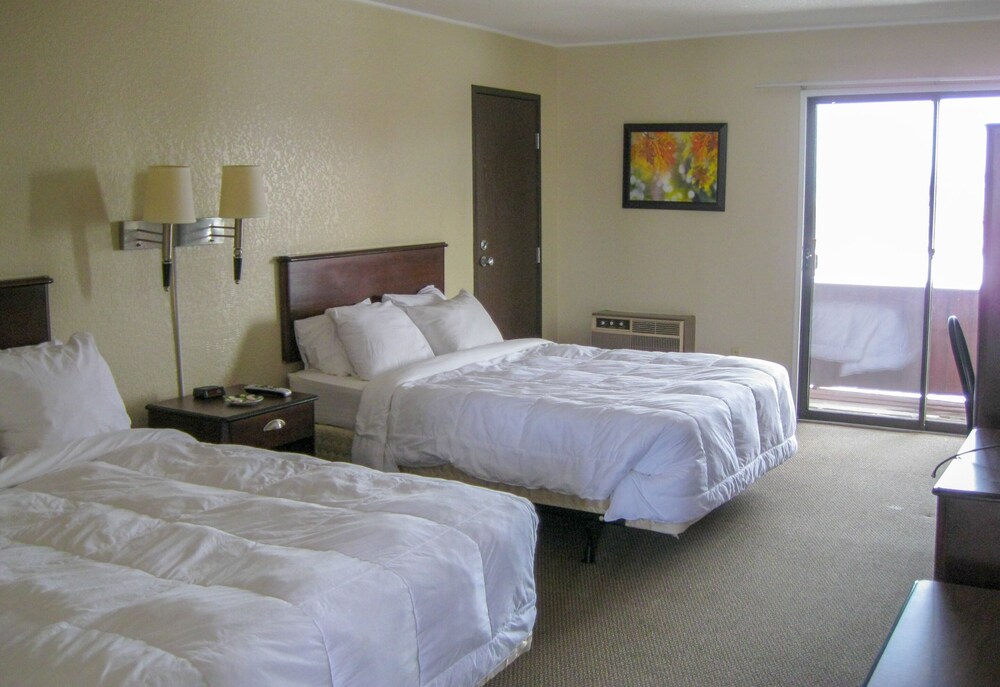 Cedar Hill Lodge 19/64