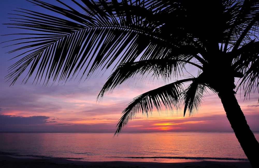 Mayan Princess Beach And Dive Resort 54/70