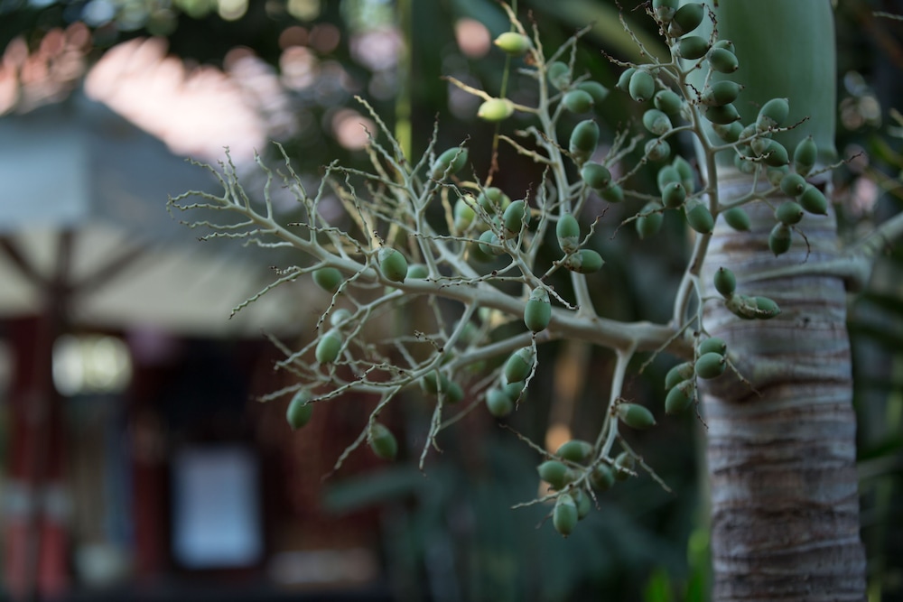 Sonalong Boutique Village & Resort 42/70
