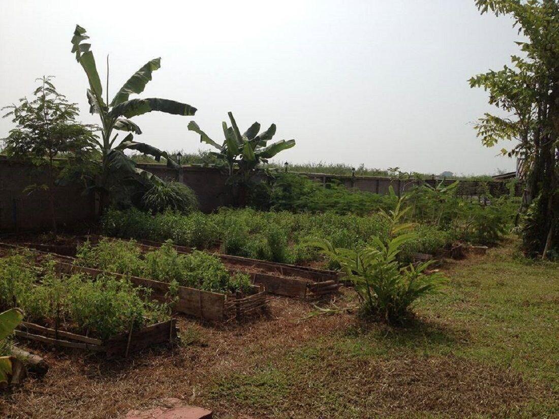 So Herbs At Home 22/28