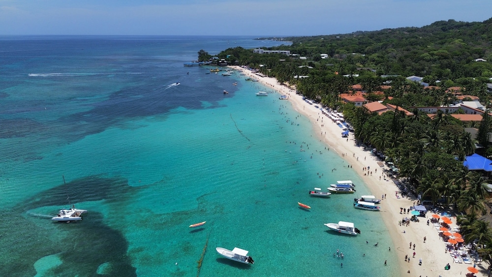 Naboo Resort & Dive Center - Adults Only 46/50