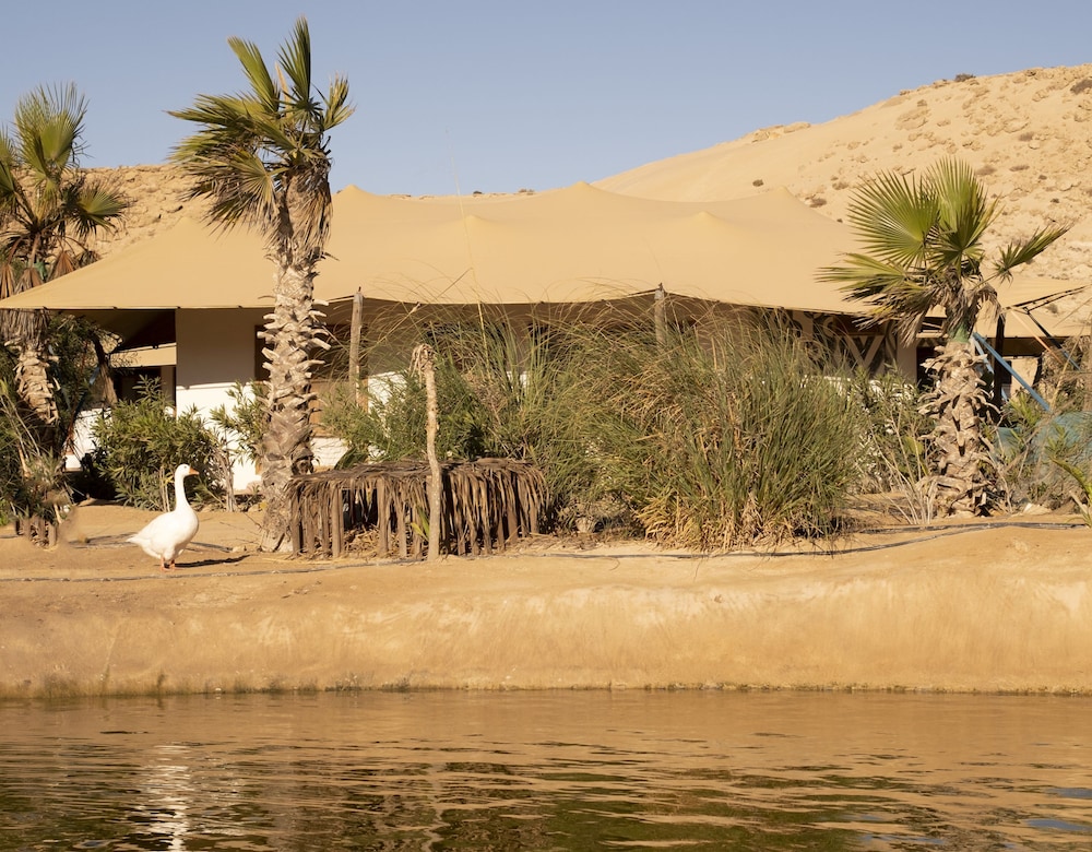 Les Dunes de Dakhla 11/31