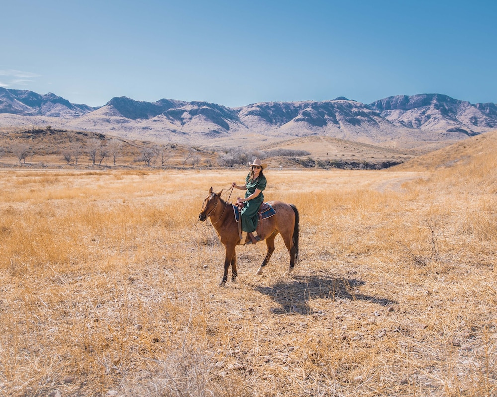Cibolo Creek Ranch Marfa 42/50