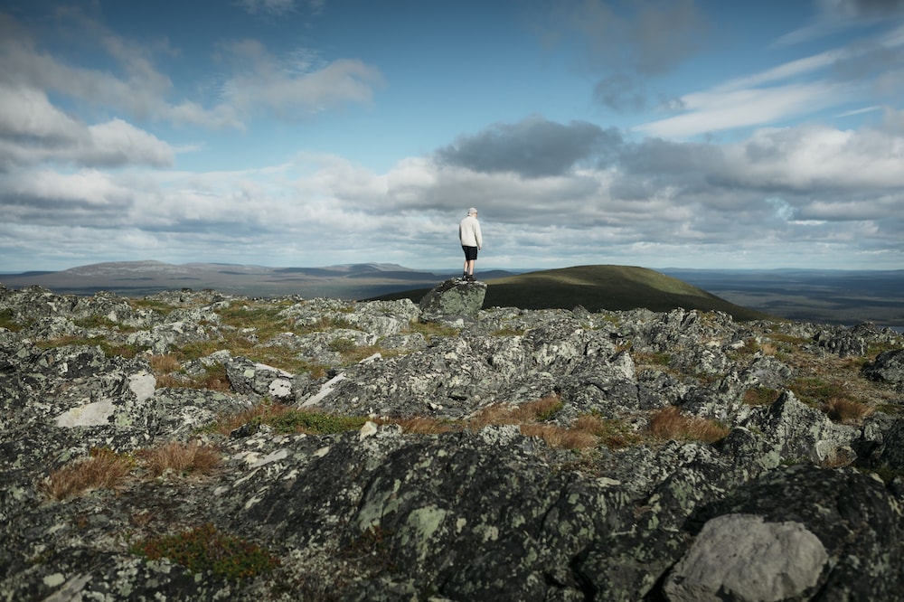 surroundings