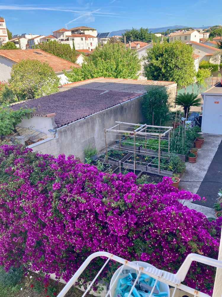 Cannes City B&B 3/37