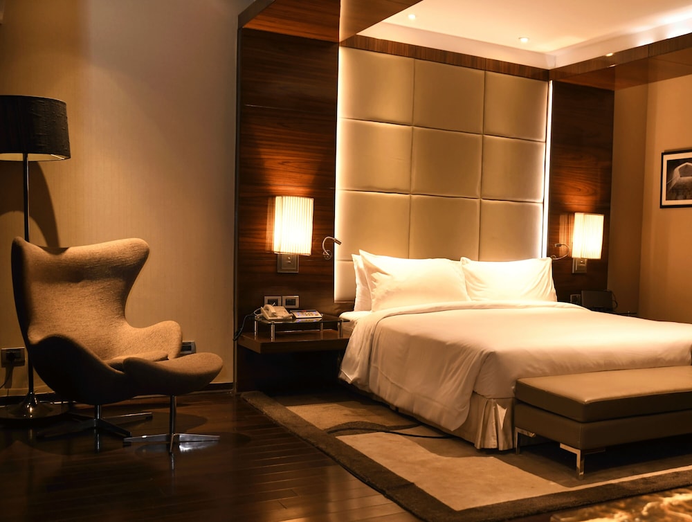 Radisson Blu Plaza Hotel Delhi Airport 22/76