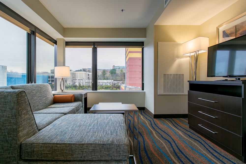 Holiday Inn Hotel & Suites CHATTANOOGA DOWNTOWN 25/65
