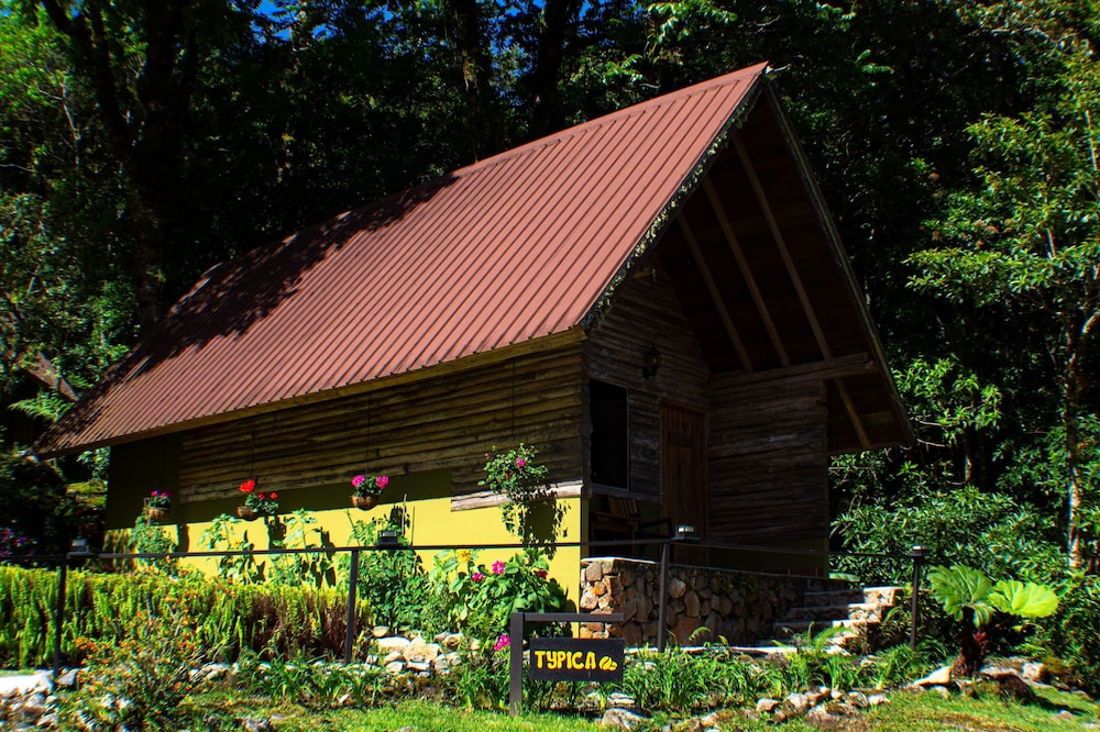 Tree Trek Boquete Adventure Park 2/50
