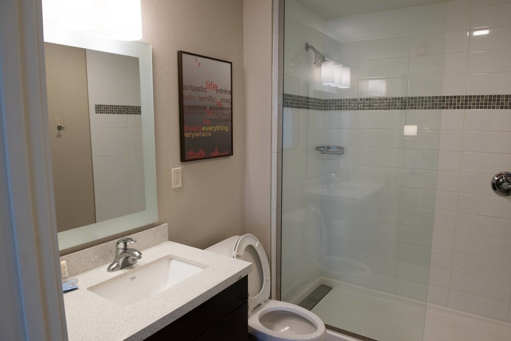 Towneplace Suites Battle Creek 13/47