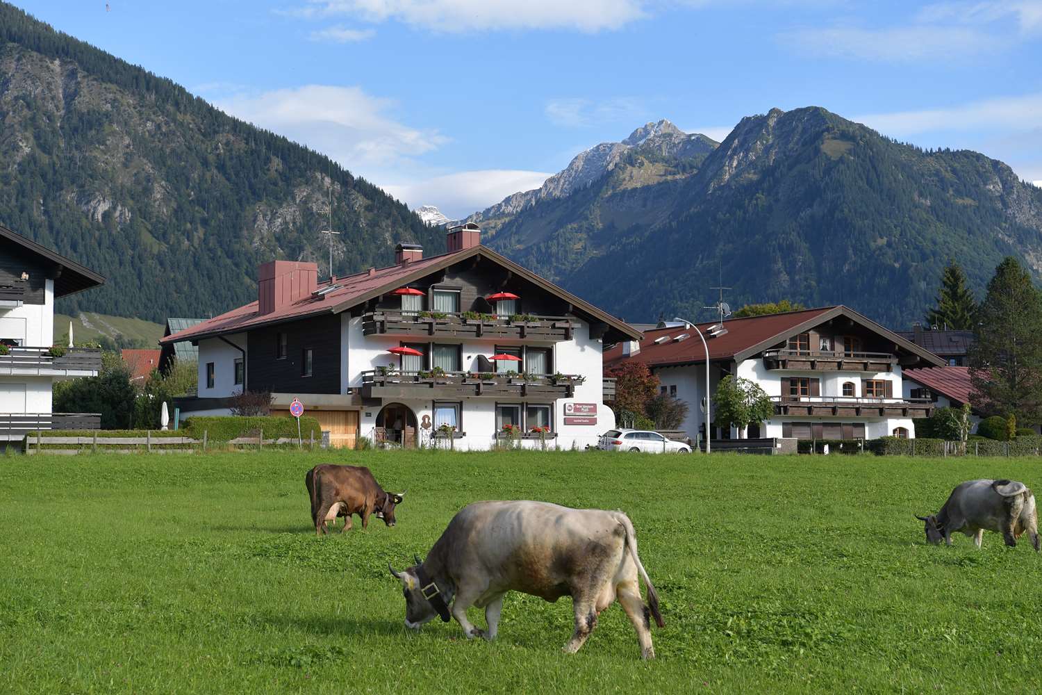 Alpenhof Oberstdorf Hotel & Spa BW Signature Collection 17/30