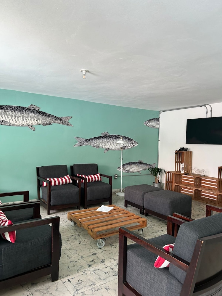 Mas Basico Hotel 35/54