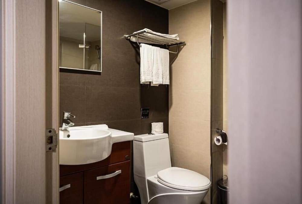 Global Traveler Hotel Kaohsiung 47/50