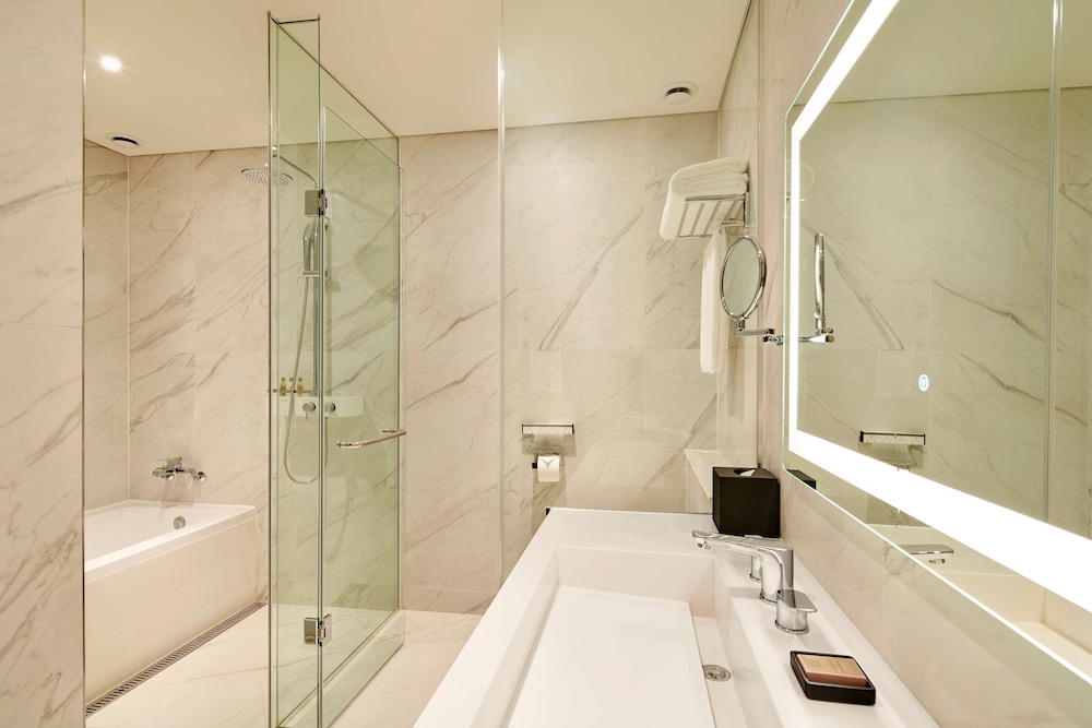 Hilton Garden Inn Seoul 13/44