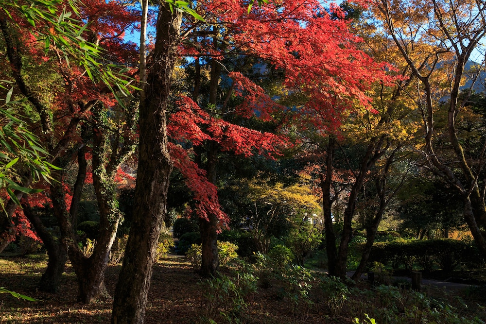 Yufuin Baien Garden Resort (ex Ryokan Baien) 45/47
