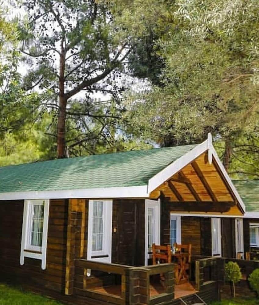 Green Pine Beach & Bungalows Luxury Concept 45/50