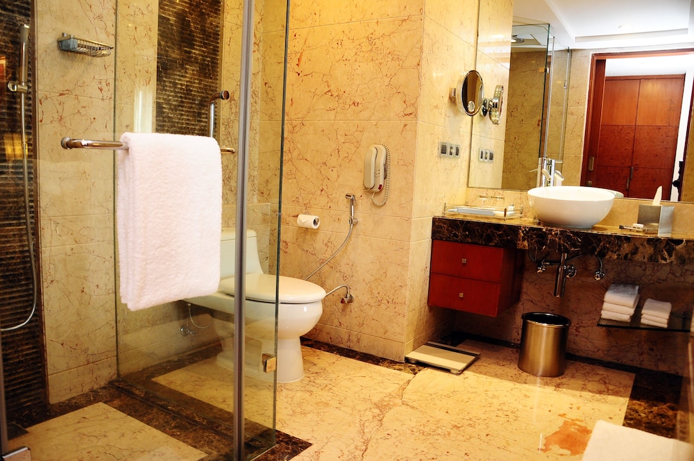 Radisson Blu Plaza Hotel Delhi Airport 18/76