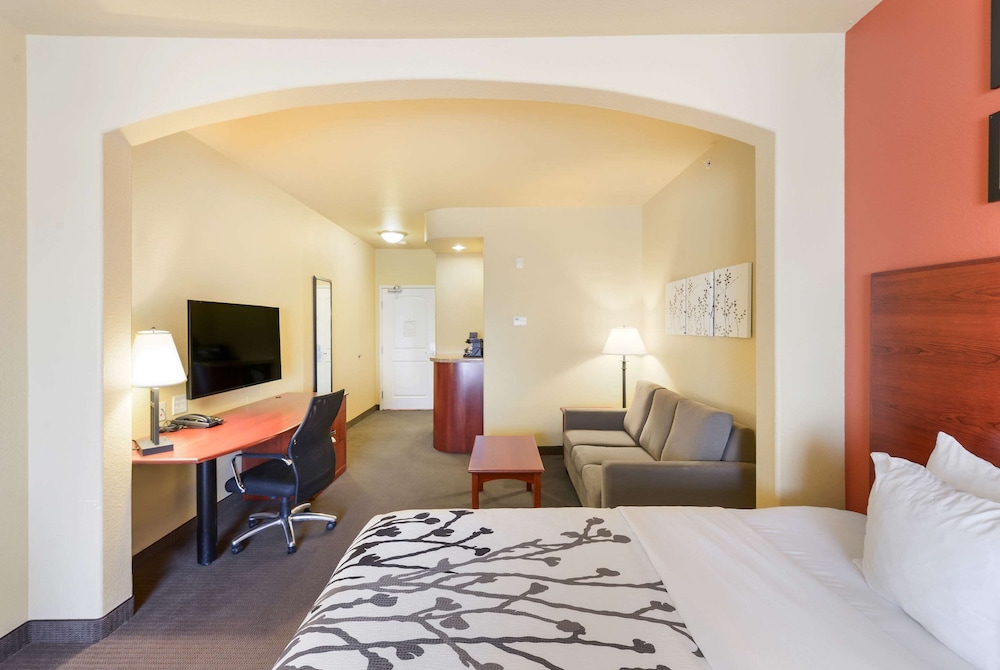 Sleep Inn and Suites Midland West 14/42