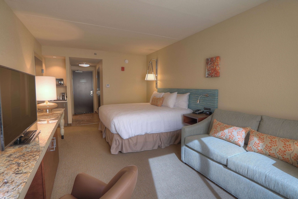 Hilton Garden Inn Pigeon Forge 19/50