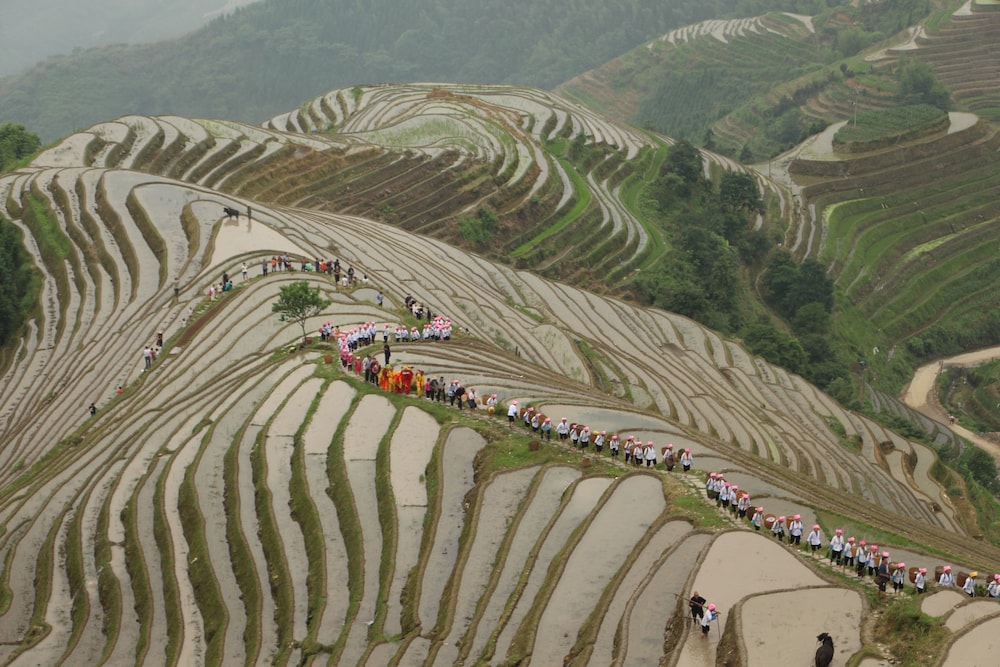 Travelling With Hotel Long Ji Ping An 33/41