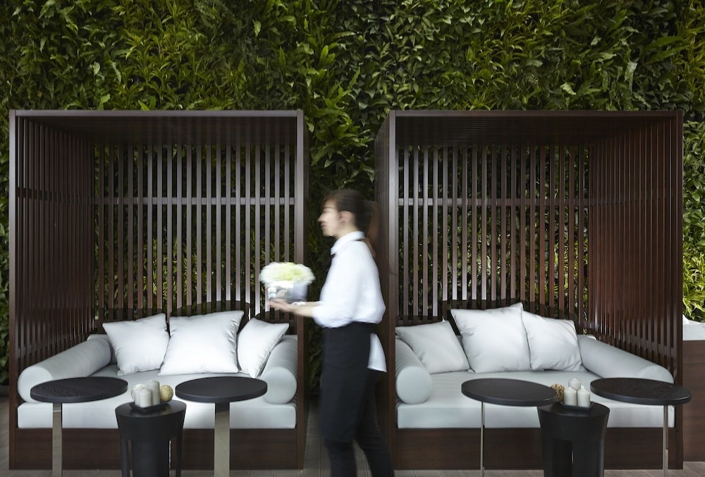 Treeart Hotel 7/20