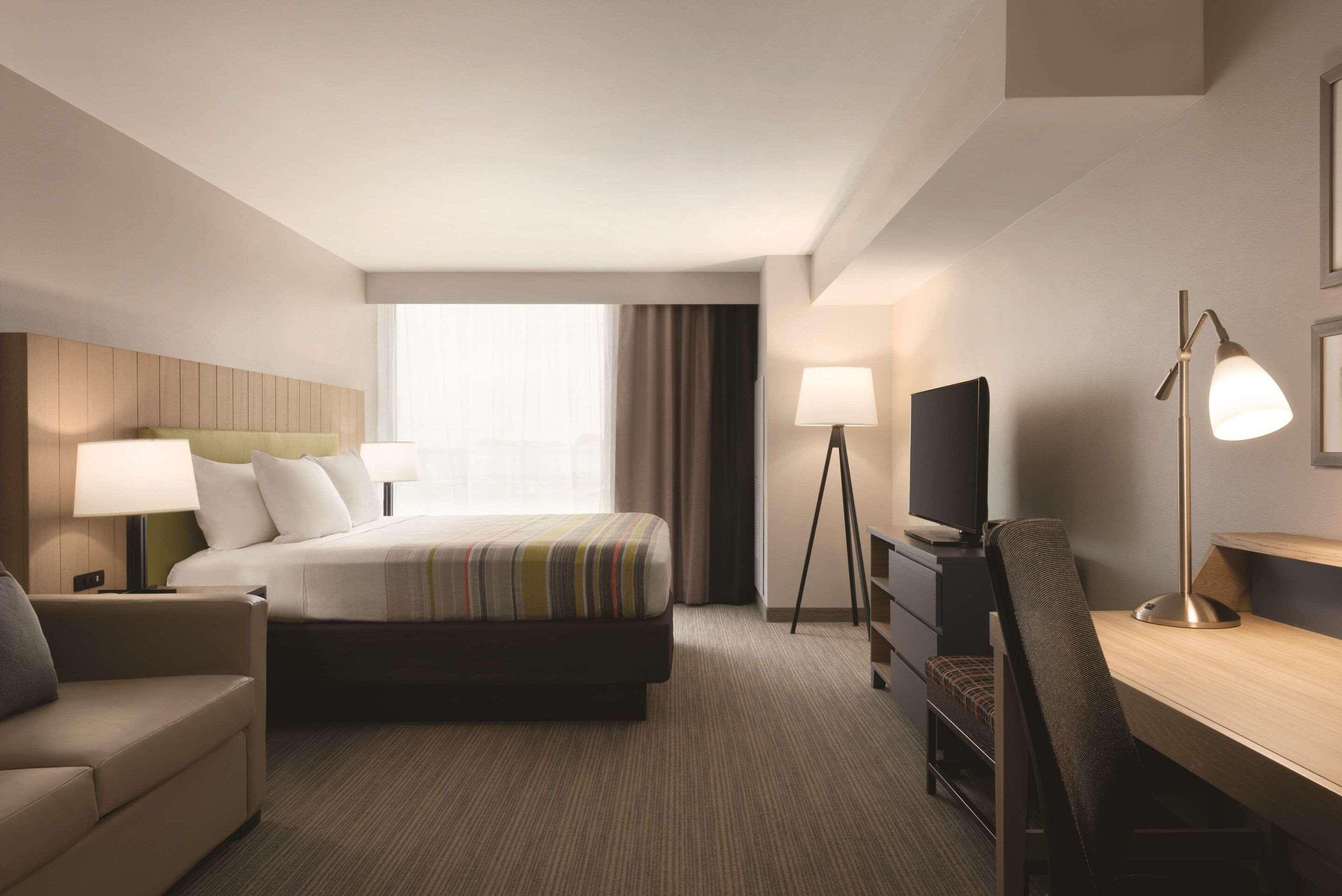 Suite, King Bed
